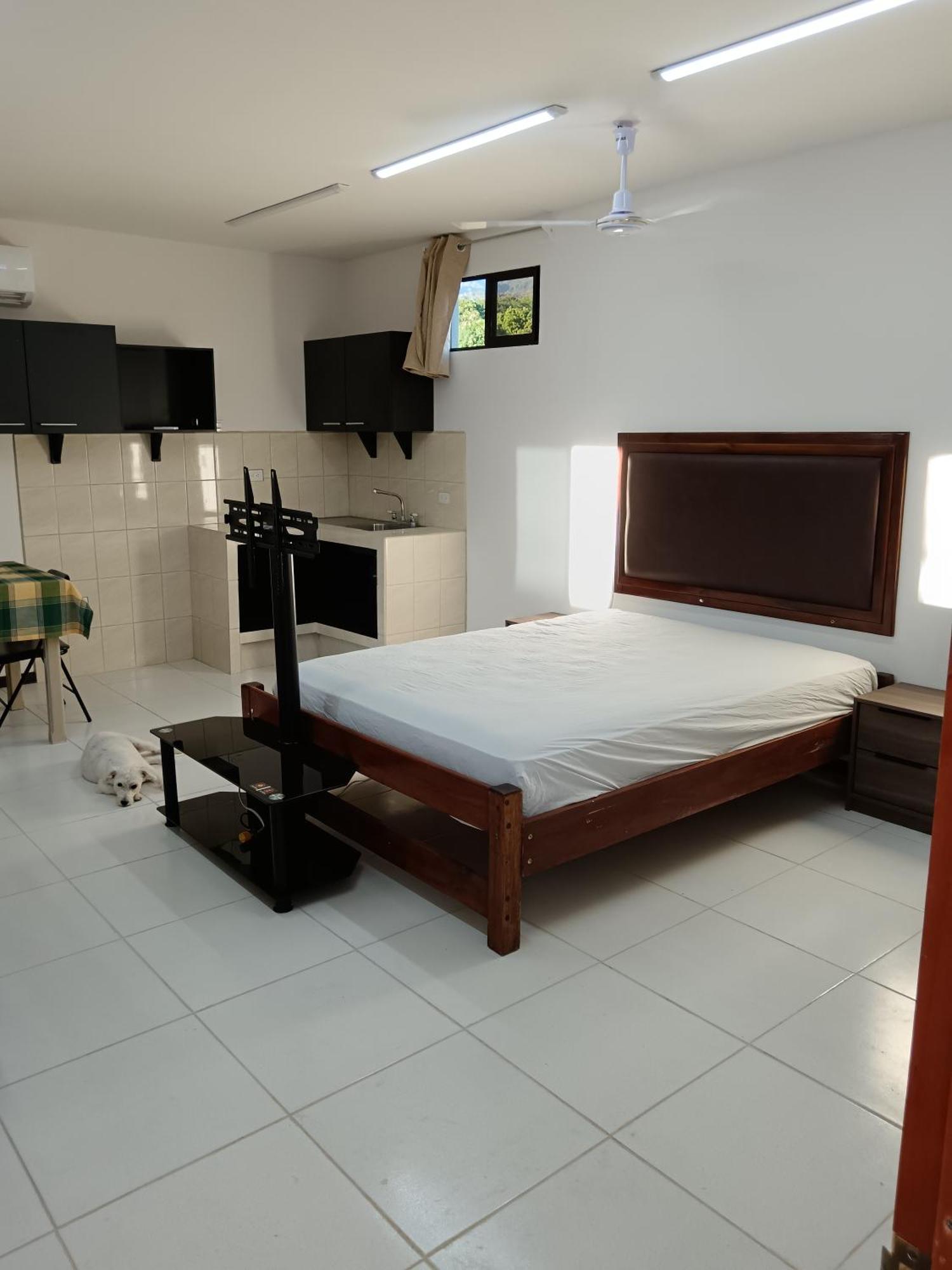 Miramar Cabinas Dormi Bene מראה חיצוני תמונה